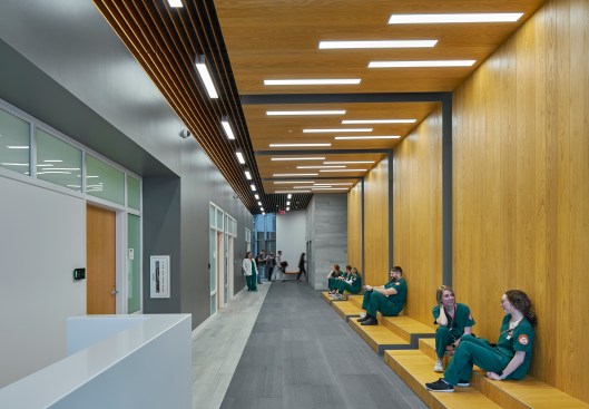 Detail of collaborative corridor.