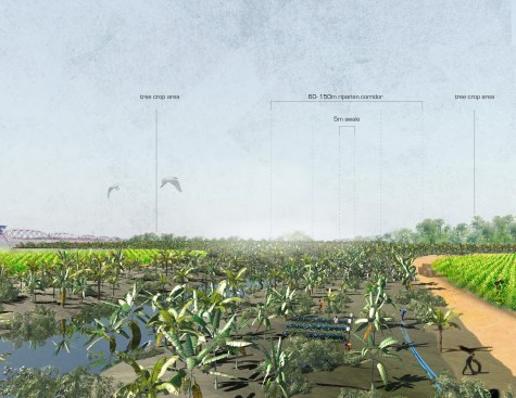 Riparian Corridor
