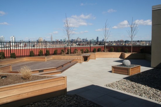 Roof Top