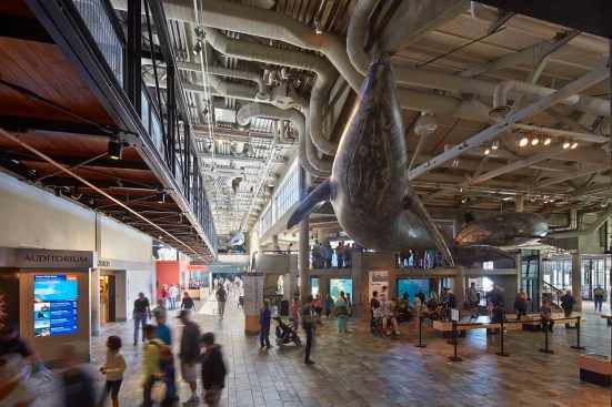 Monterey Bay Aquarium