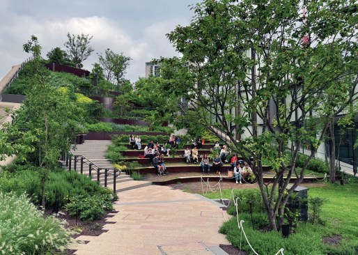 Steps on the gegetated rooftop on the east side of the Central Green form an informal gathering space.