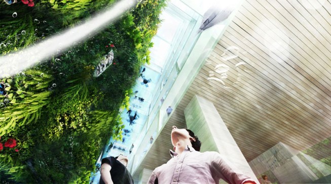 Vertical garden.