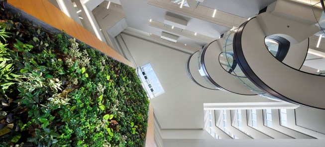 Interplay of biofilter living wall and helical staircase