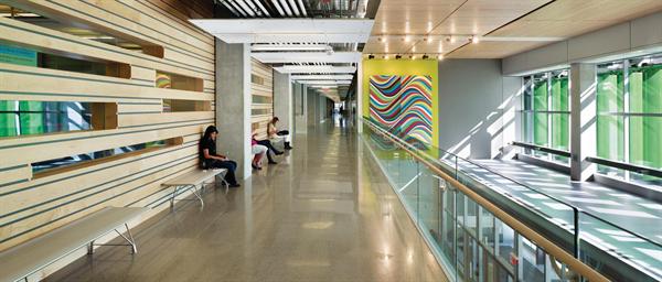 Wherever possible, circulation corridors are fitted out with seating and study areas, turning the building?s public spaces into social hubs for the students.