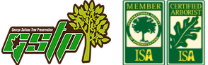 Rancho Cordova Tree Service Experts