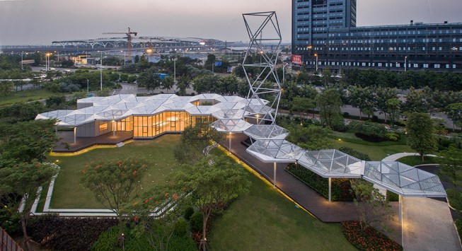Birdeye Night View