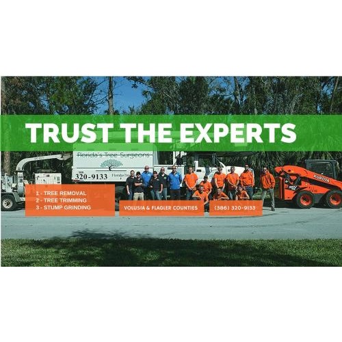 Florida’s Tree Surgeons