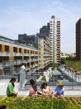 One of the many green spaces in Via Verde; in this one, residents can grow produce.