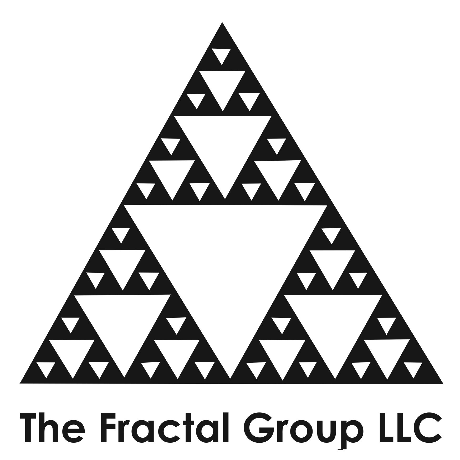 The Fractal Group