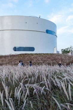 Undulating Park above the Super-surface