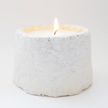 A scented candle in a compostable holder that is literally grown, using agriculture waste and the reproductive process of a mushroom. • $32, lliteandcycle.com