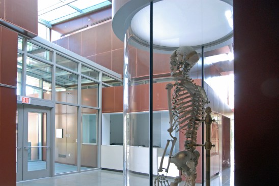 The National Museum of Health and Medicine