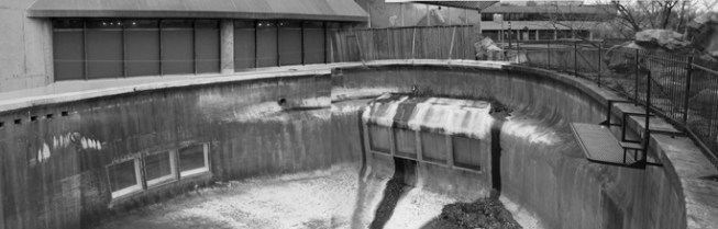 Original whale tank