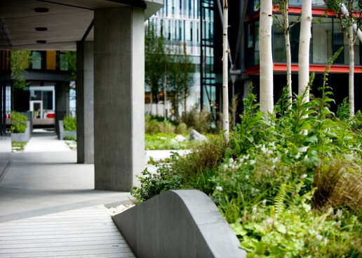 Covered walkway with landscaping.