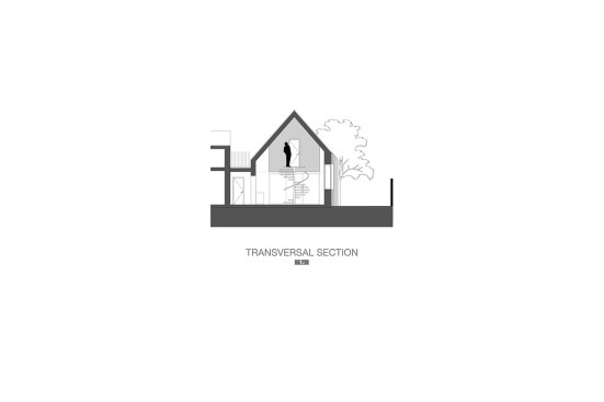 Transversal section