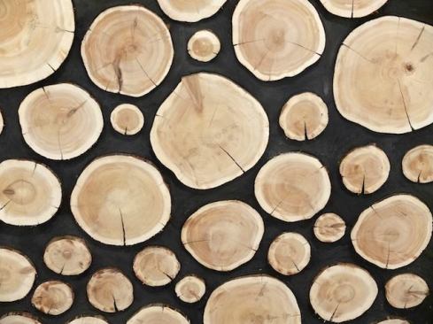 A mock-up of a cordwood masonry wall, a building technique whose history is barely discussed.