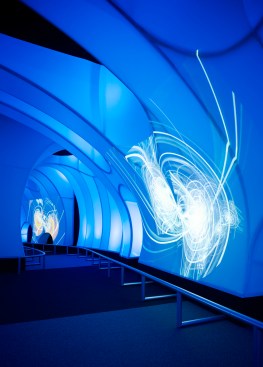 Entrance into the show