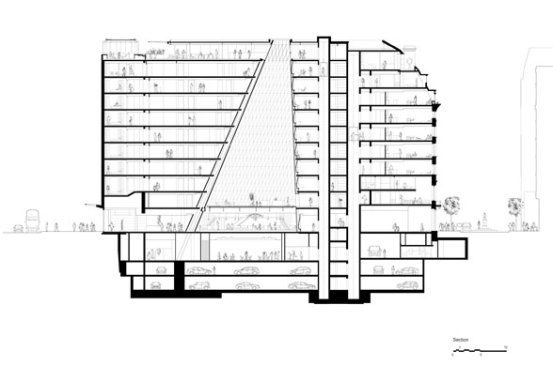 Section.