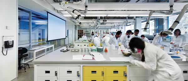 Laboratory spaces spanning six disciplines are flooded with natural light.