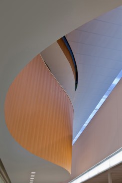 The opening around the learning oasis provides visual connectivity between levels and ushers in natural light.