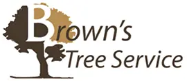 Arlington Tree Service Experts