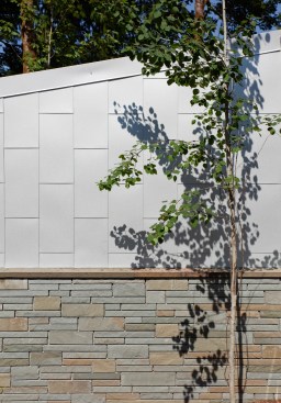 Tree and Stone Wall