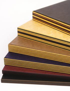 Before entering the architectural market, Richlite Co.’s paper-composite products were used for everything from cutting boards to skate ramps. Cascade comprises built-up layers of FSC-certified or post-consumer recycled paper that may be used in applications such as countertops, shelving, and ceiling panels. The product line offers six color variations, all named after the tallest peaks in the Cascade Range in Washington, where the company is based. • 
richlite.com