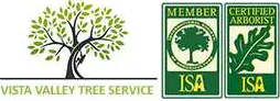 Encinitas Tree Service Experts