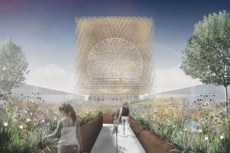 Hive