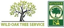 Austin Tree Services Experts