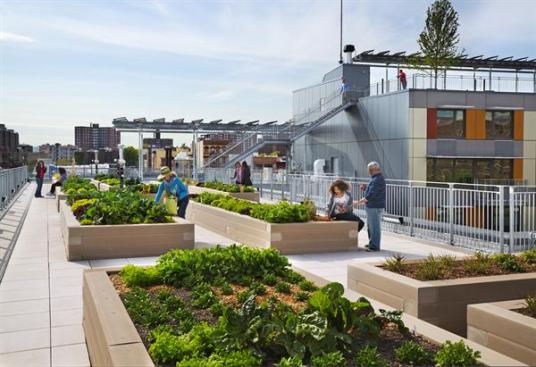 Another rooftop has planters for beds of fruits and vegetables.