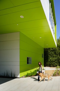The vibrant color scheme extends to the soffits, giving the building a cohesive feeling.