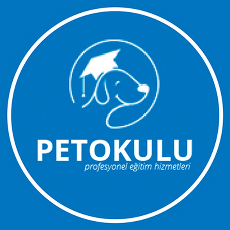 Köpek Eğitim Merkezi istanbul köpek eğitim fiyatları petokulu