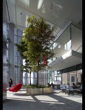 interior courtyard