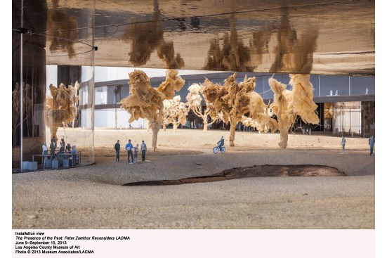 Installation view. 