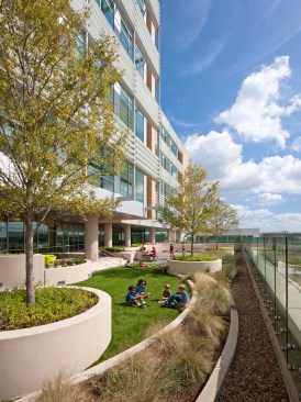 Roof Garden