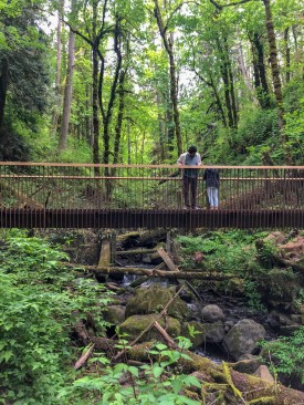 Wildwood Trail Bridge
