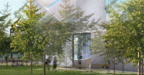 Reading garden with ginko trees.