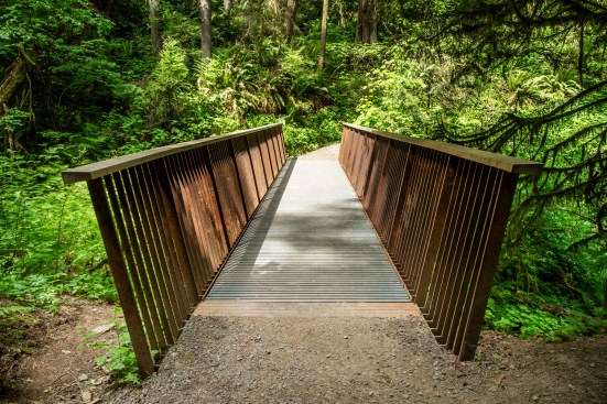 Maple Trail Bridge