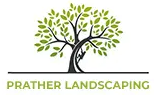 Lexington Tree Experts