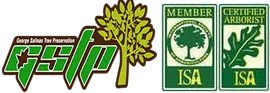 Stockton Tree Service Experts