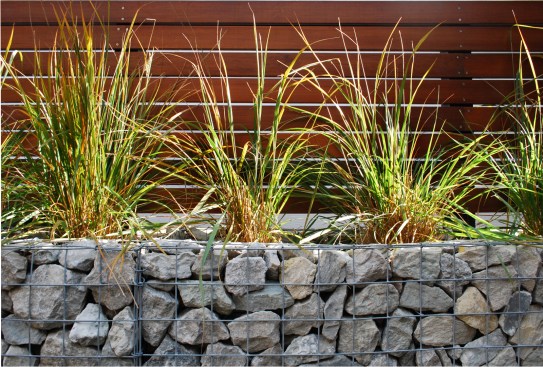 Barrier wall between property lines being used as a planter