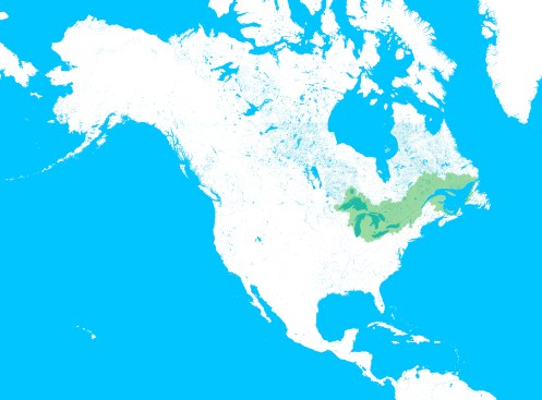 The Great Lakes Century: A 100-year Vision  