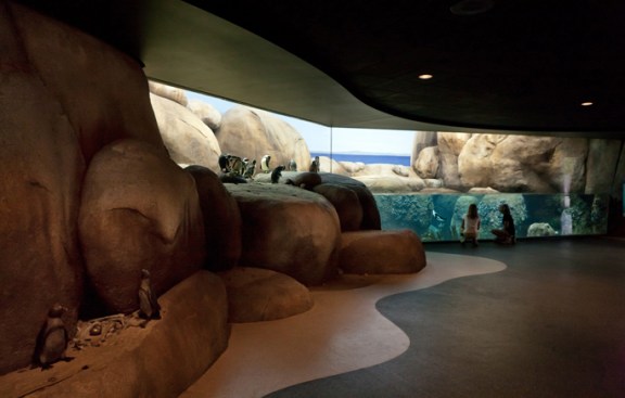 Penguin exhibit