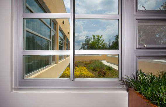 Green Room with Green Roof