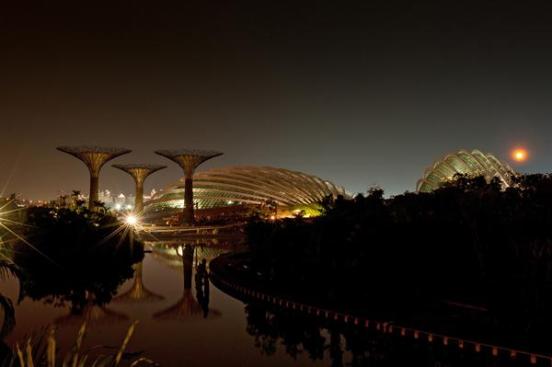 View+of+Bay+South+Gardens+at+night.