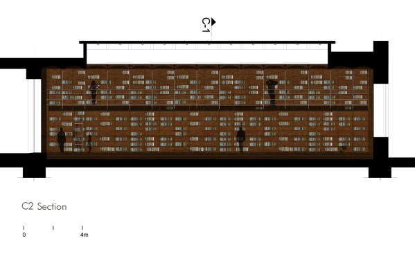 Longitudinal section.