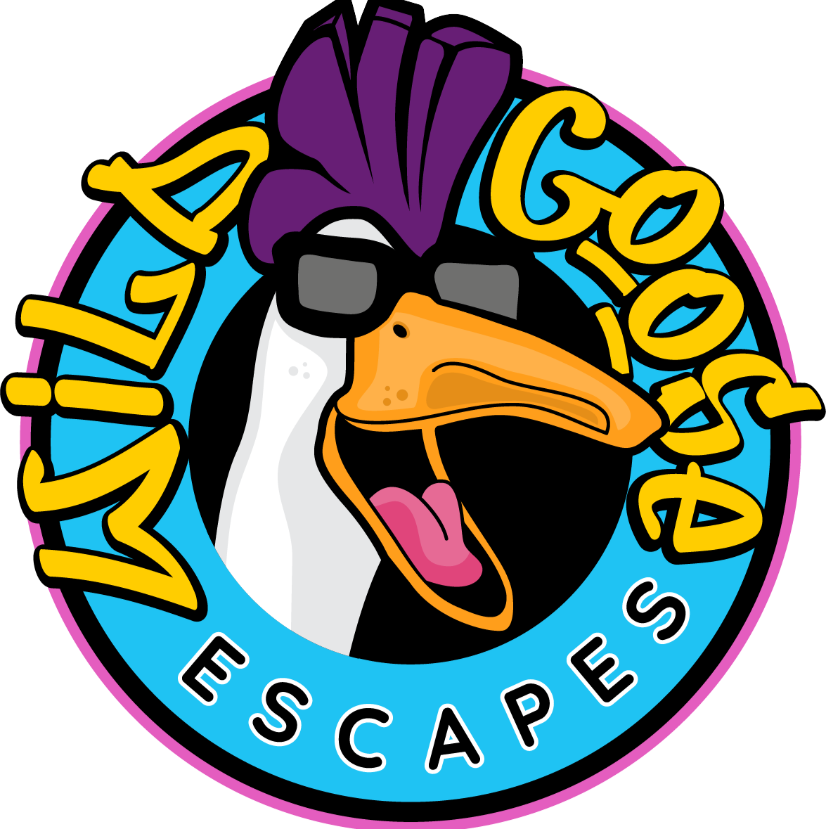 Wild Goose Escape Rooms
