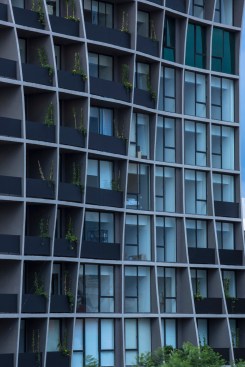 Montes - CRAFT Arquitectos