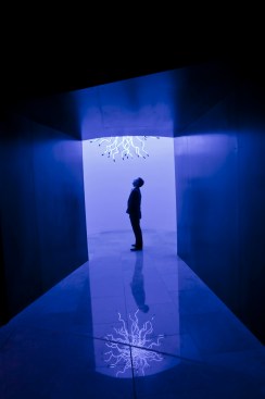 Neon Tumbleweed,2010, 5 x 5 x 8'